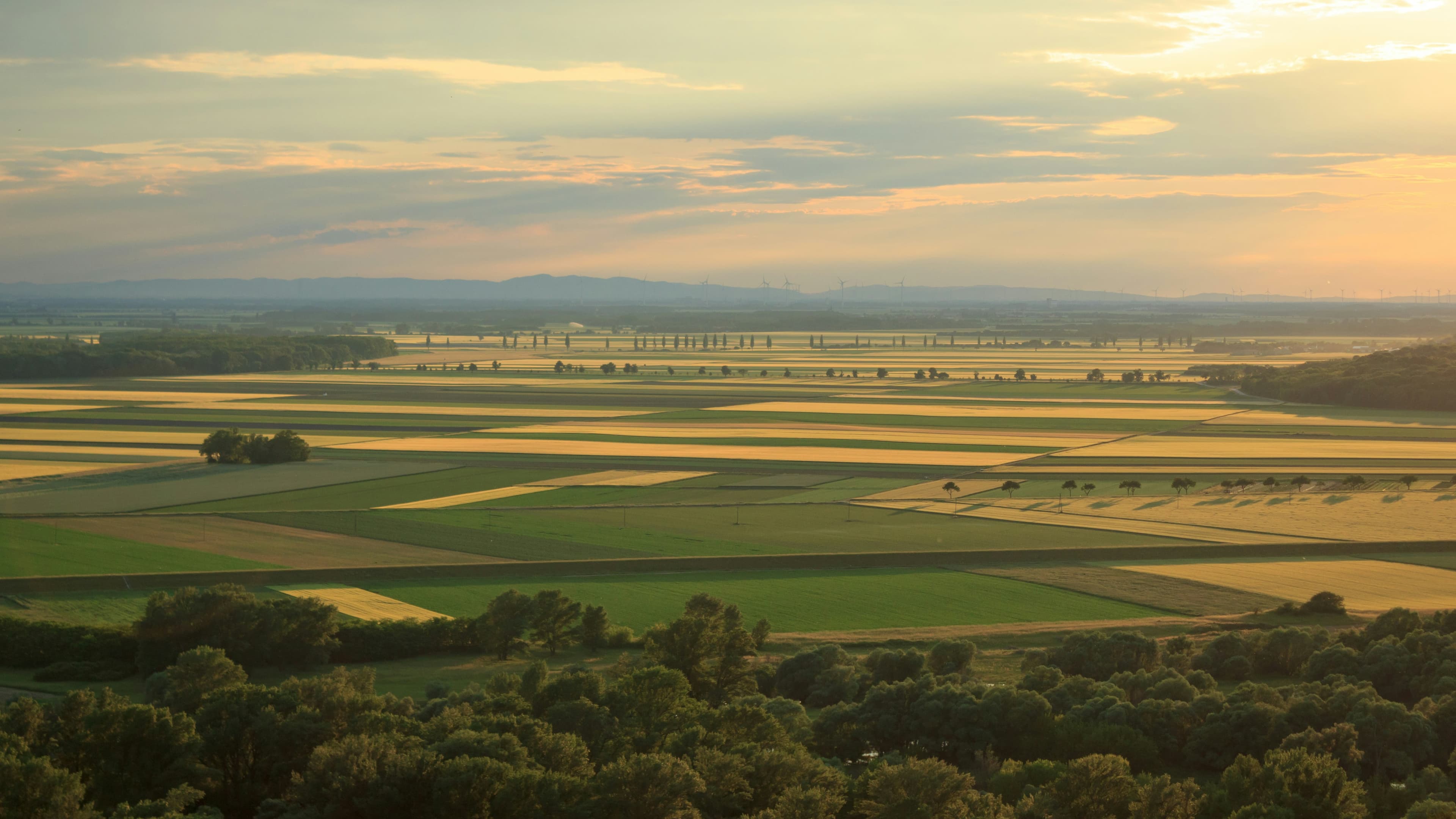 Aerial patchwork farmland at sunset