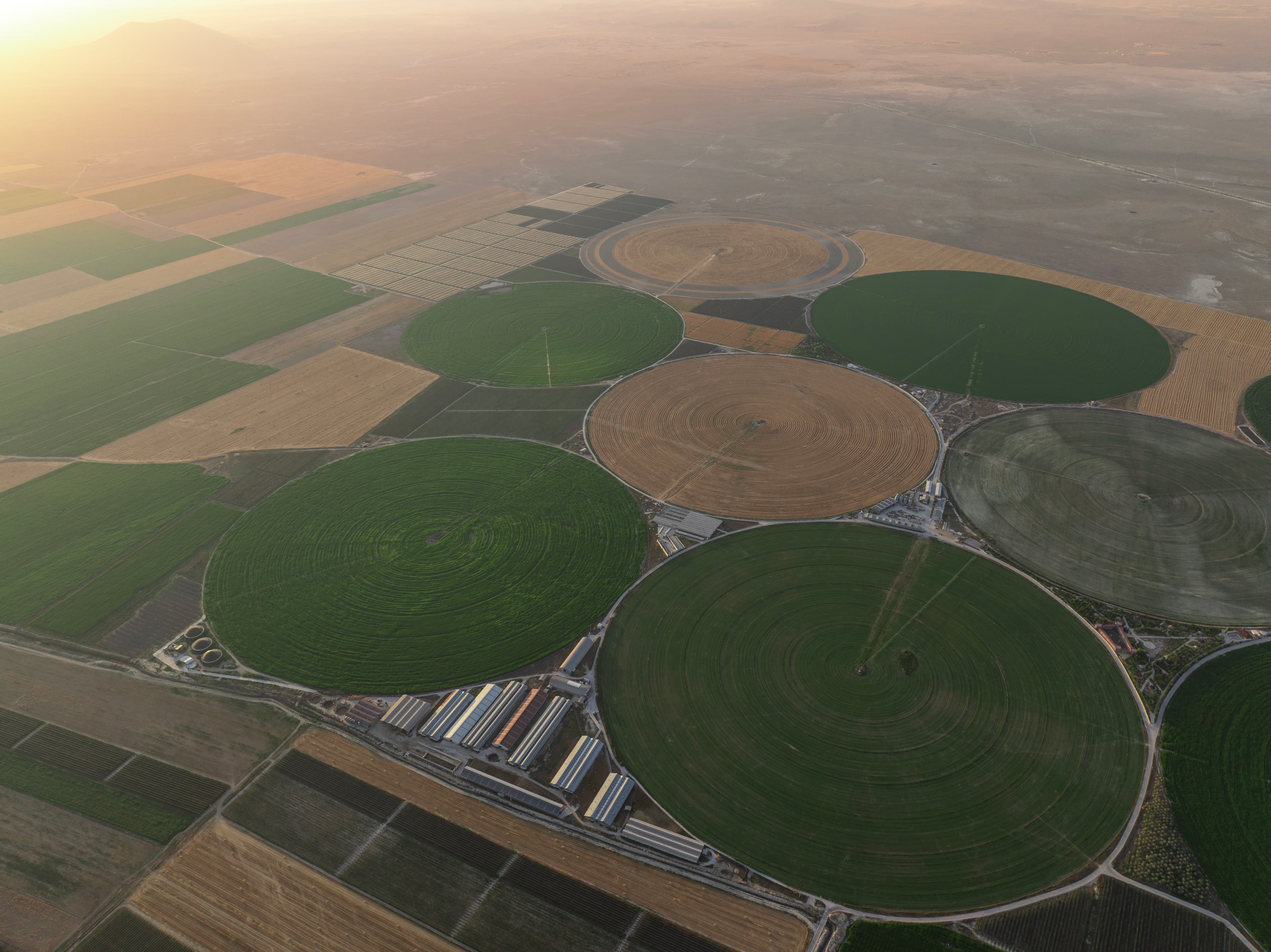 Aerial view of center-pivot irrigation circles at sunrise