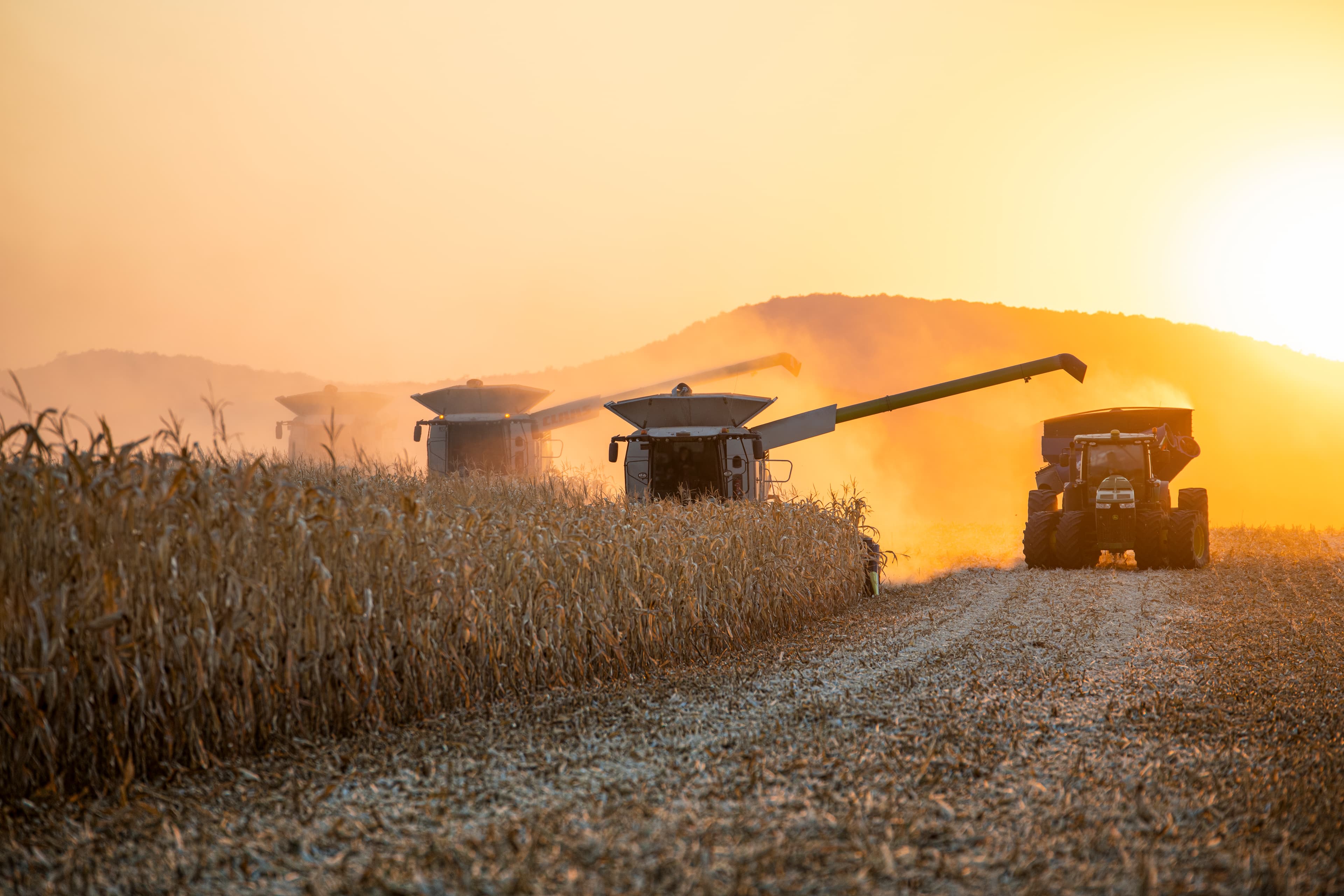 Agricultural landscape at golden hour